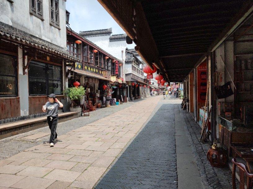 蓉企成功驯化野生羊肚菌 2万亩地产出4亿元